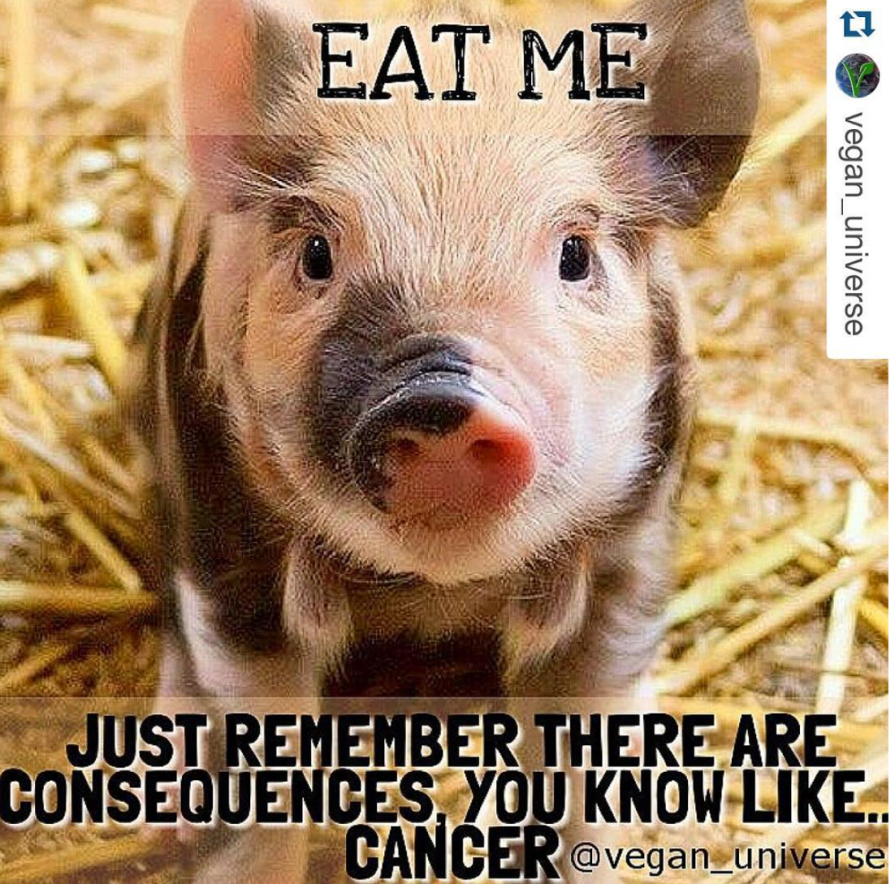 KAN HET EEN BEETJE MINDEUR ?...