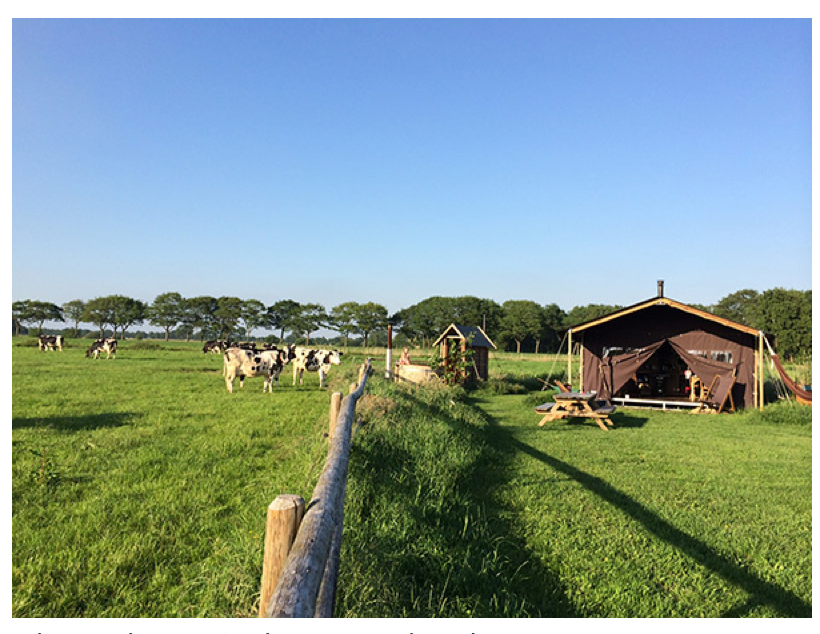 KAMPEREN ZONDER ZERE RUG, VOCHTIGE KLEREN OF GESTUNTEL MET PANNETJES, HET KAN!!
