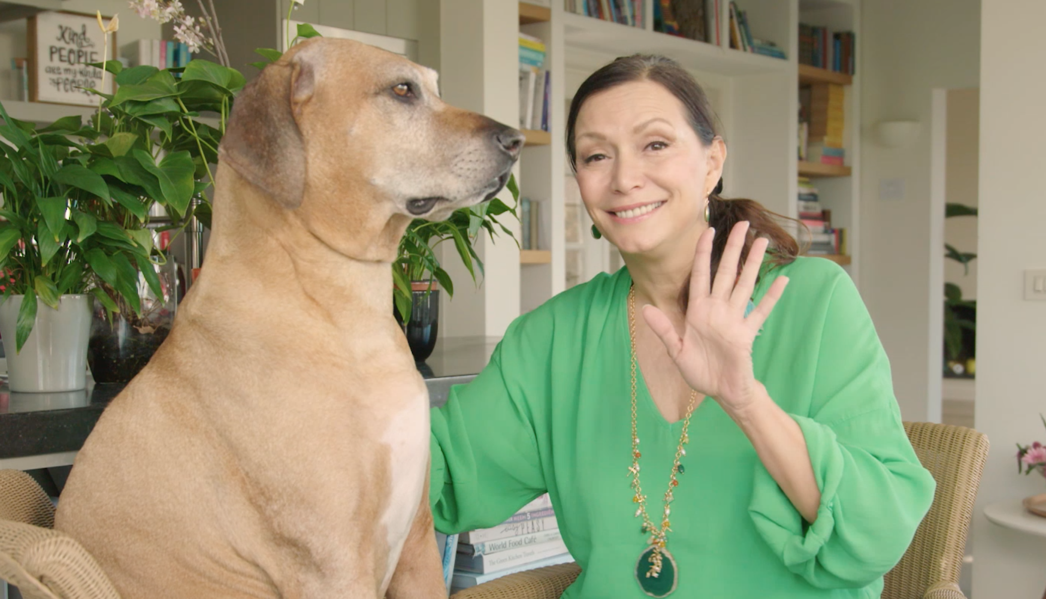 Mar10's beste anti dip tips